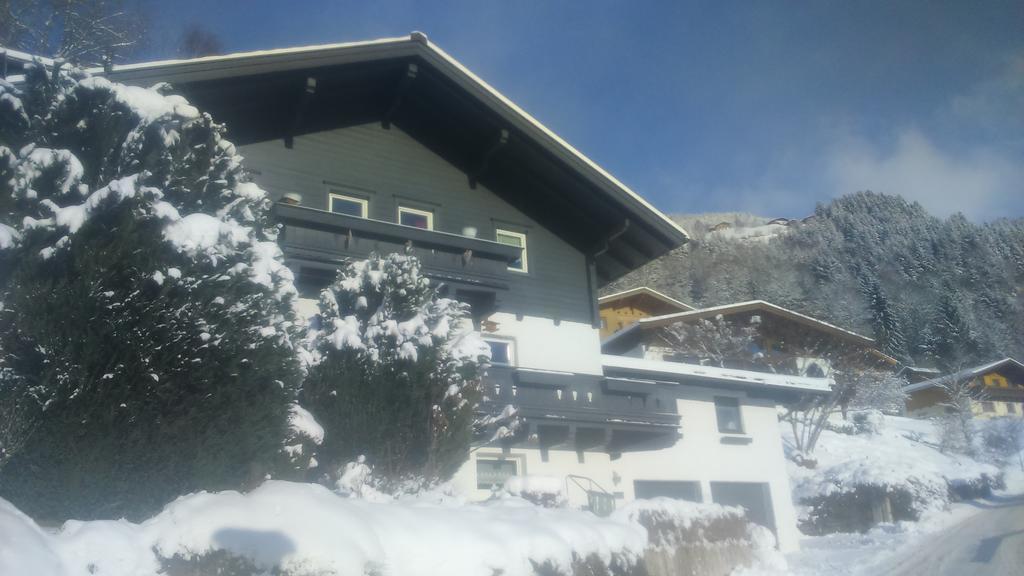 Appartement Emma à Bramberg am Wildkogel Extérieur photo